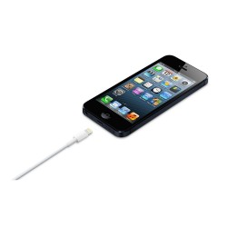 Кабел Apple Lightning to USB Cable (0.5m)