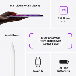 Apple 8.3-inch iPad mini 6 Wi-Fi 256GB - Purple (2021)