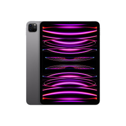 Apple 11-inch iPad Pro M2 chip Wi-Fi 256GB - Space Grey (2022)