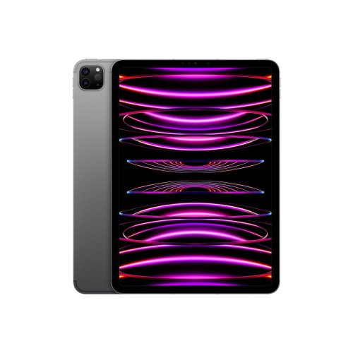 Apple 11-inch iPad Pro M2 chip Wi-Fi + Cellular 256GB - Space Grey (2022)