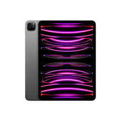 Apple 11-inch iPad Pro M2 chip Wi-Fi + Cellular 1TB - Space