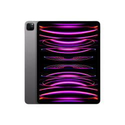 Apple 12.9-inch iPad Pro M2 chip Wi-Fi 128 GB - Space Grey