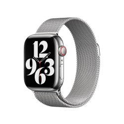 Каишка за Apple Watch 41mm Band: Silver Milanese Loop