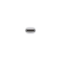 Видео-адаптер Apple USB-C VGA Multiport Adapter
