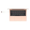 Apple USB-C to SD Card Reader